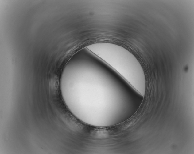 X0000090780228200707201141