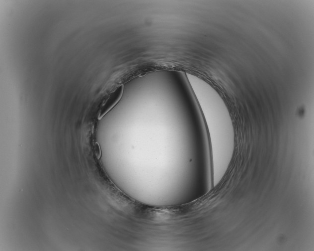 X0000090780229200707201141