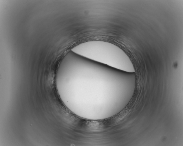 X0000090780230200707201141
