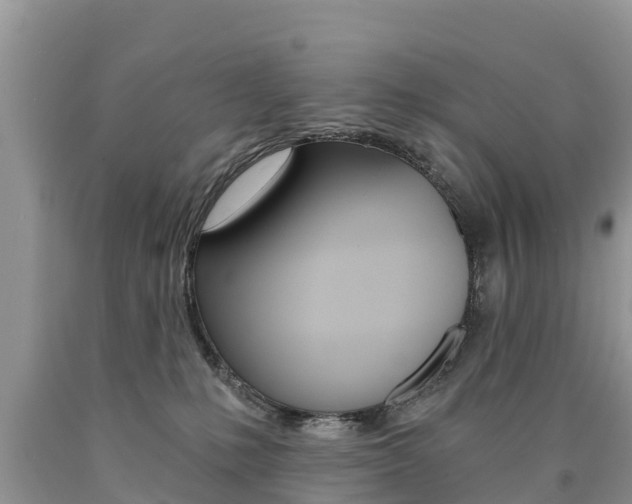 X0000090780231200707201141