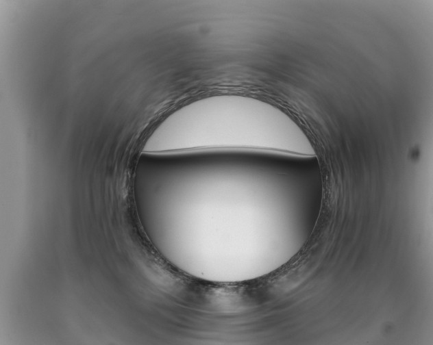 X0000090780232200707201141