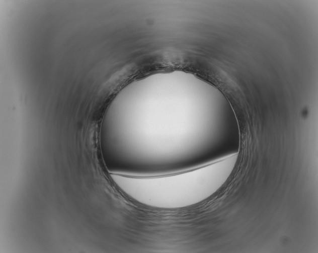 X0000090780233200707201141