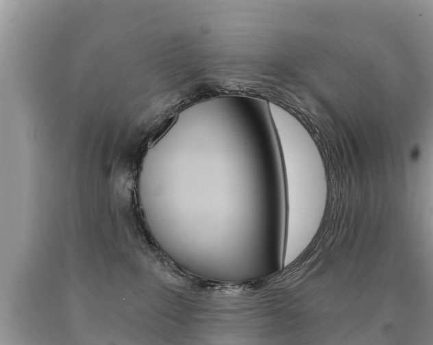 X0000090780235200707201141