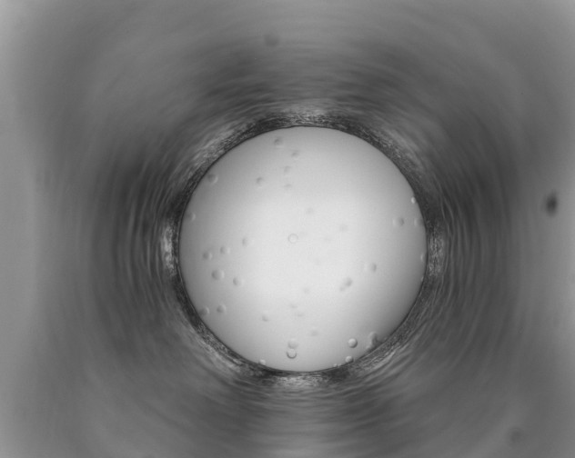 X0000090780238200707201141