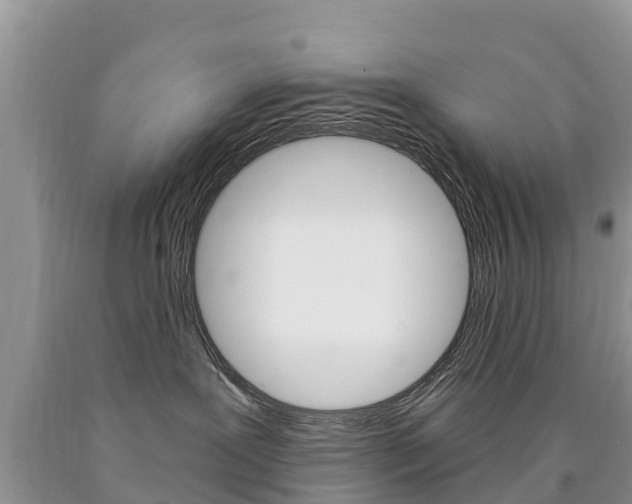 X0000090780239200707201141