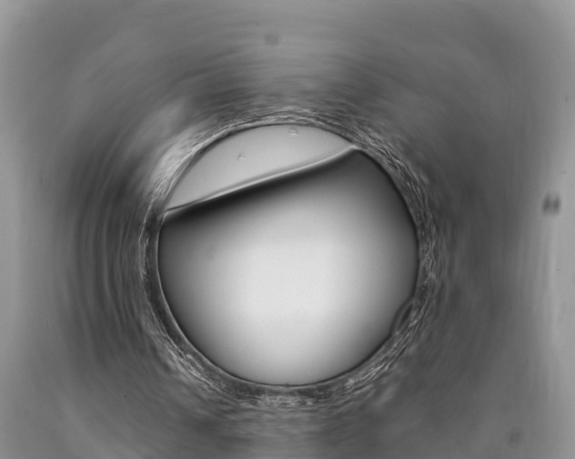 X0000090780242200707201140