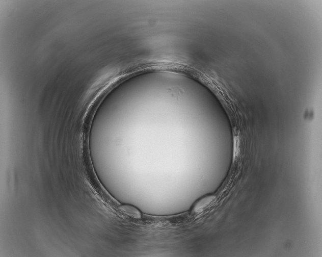 X0000090780243200707201140
