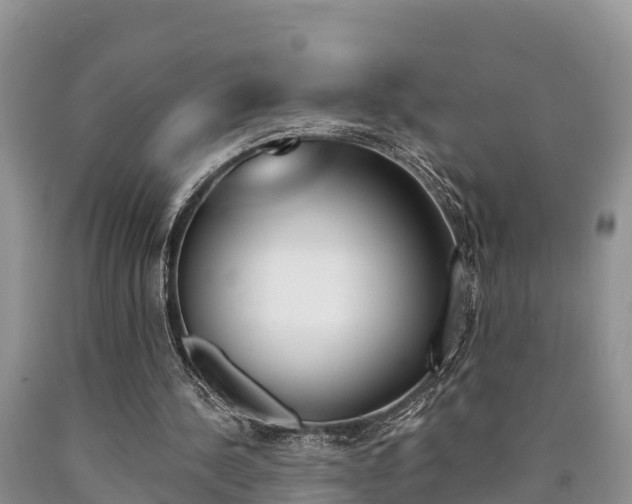X0000090780244200707201140