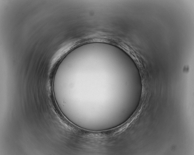 X0000090780245200707201140