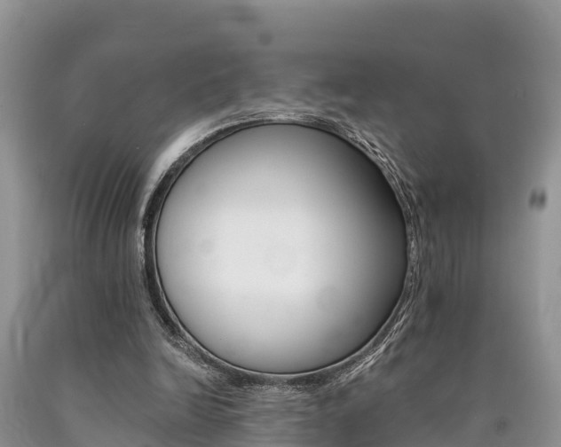 X0000090780246200707201140