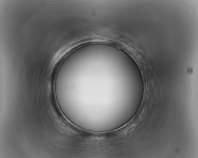X0000090780247200707201140