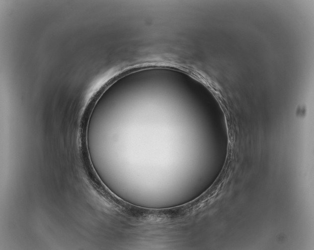 X0000090780248200707201140