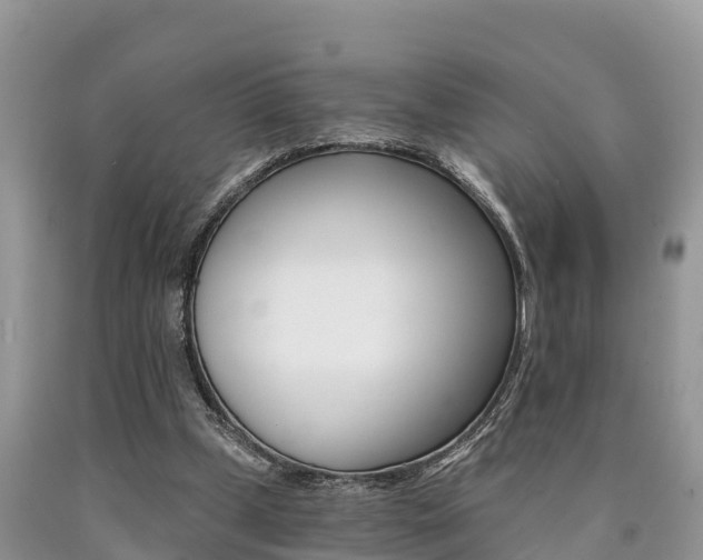 X0000090780249200707201140