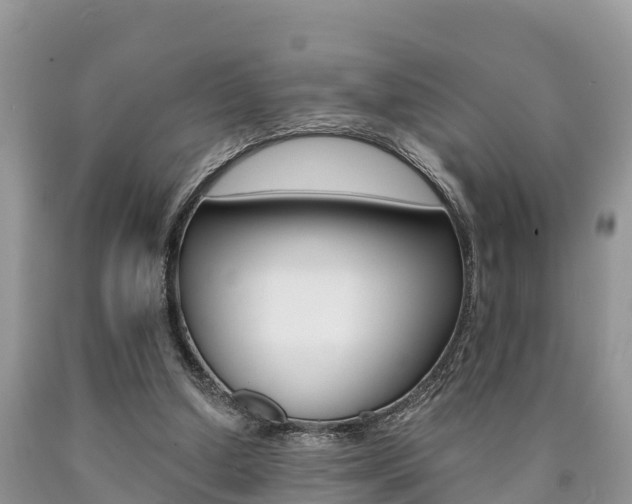 X0000090780250200707201140