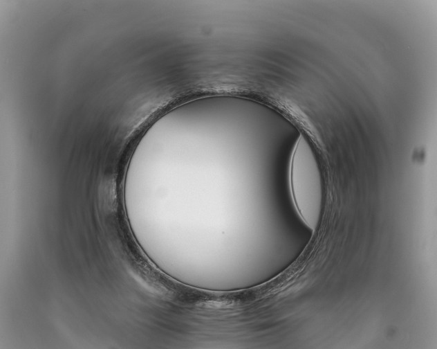 X0000090780251200707201140