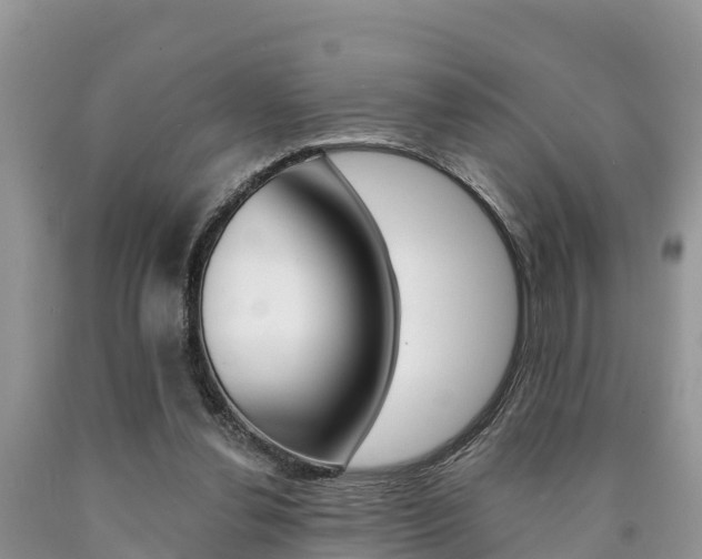 X0000090780252200707201140
