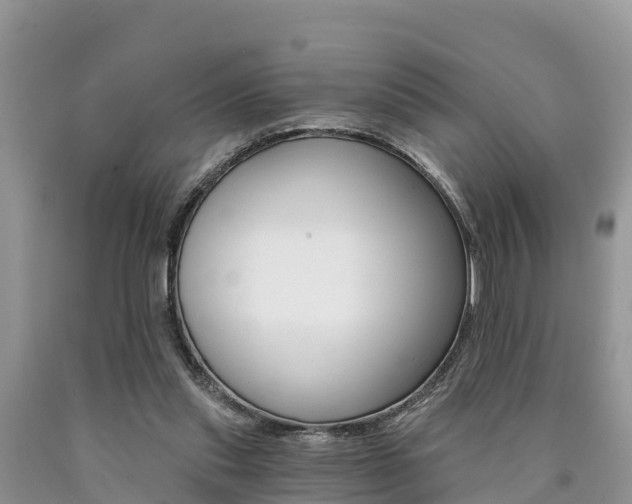 X0000090780253200707201140