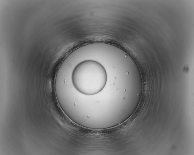X0000090780254200707201140