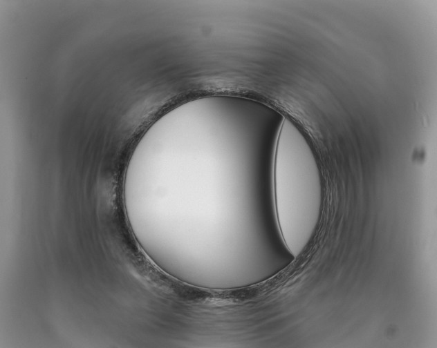 X0000090780255200707201140