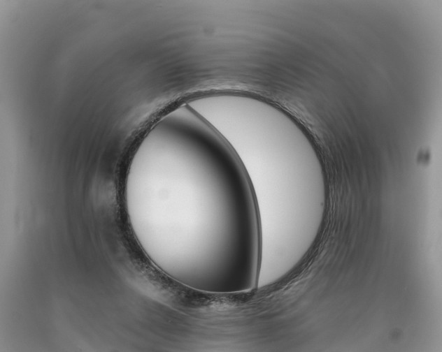X0000090780256200707201140