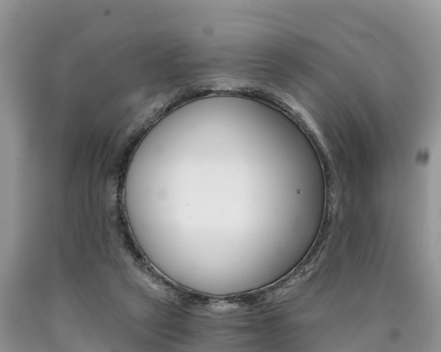 X0000090780257200707201140