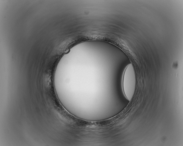 X0000090780259200707201140
