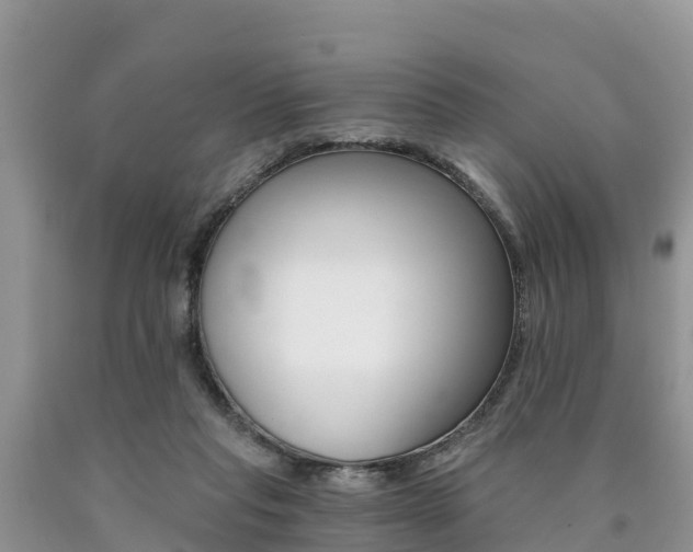 X0000090780261200707201140