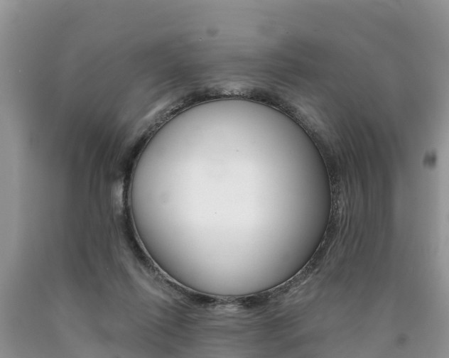 X0000090780262200707201140