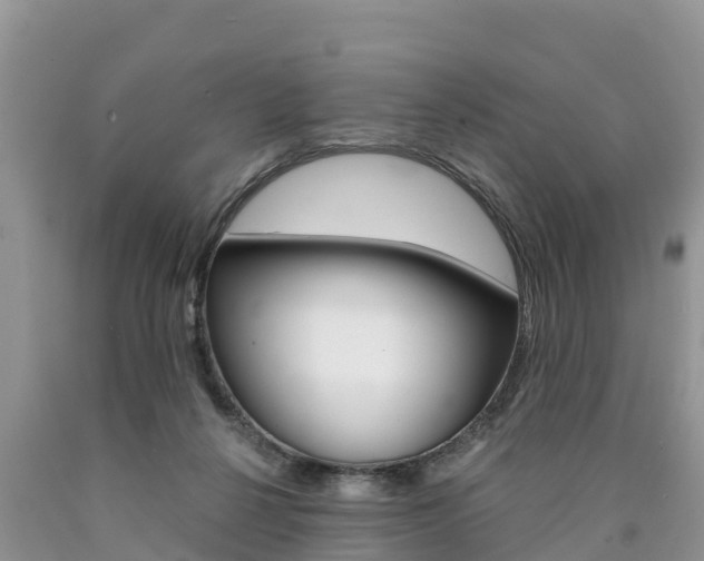 X0000090780264200707201141