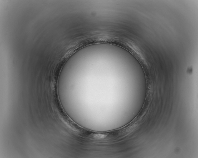 X0000090780265200707201141