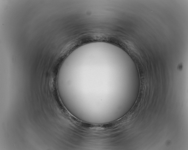 X0000090780266200707201141
