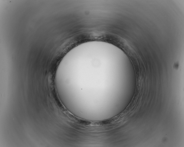X0000090780270200707201141