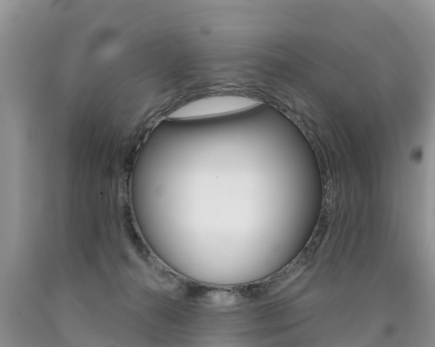 X0000090780272200707201141