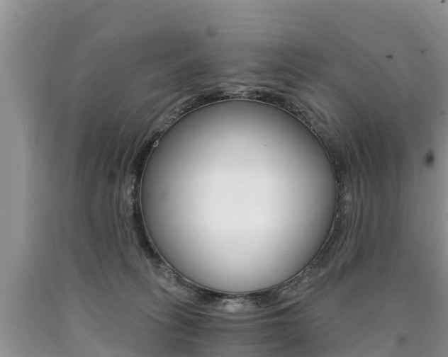 X0000090780275200707201141