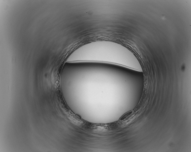 X0000090780285200707201141