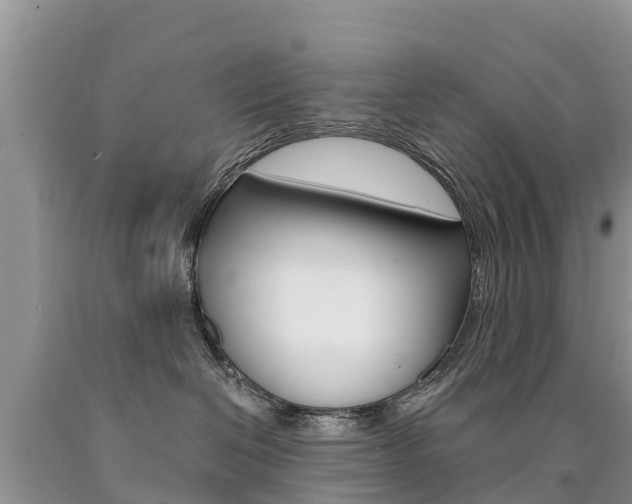 X0000090780286200707201141