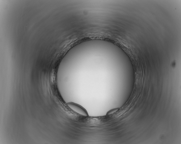 X0000090780287200707201141