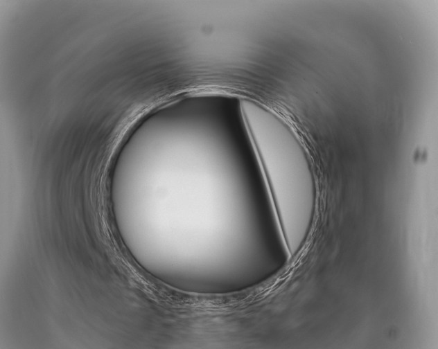 X0000090780289200707201140