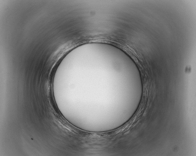 X0000090780290200707201140