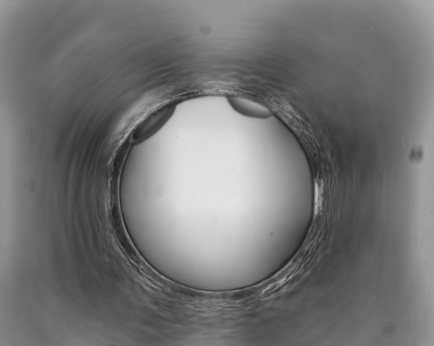 X0000090780291200707201140