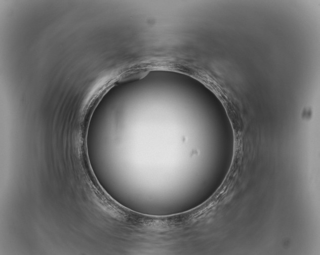 X0000090780293200707201140