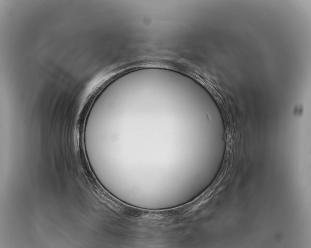 X0000090780294200707201140