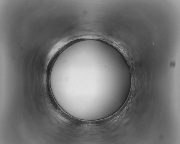 X0000090780296200707201140