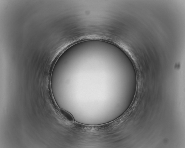 X0000090780297200707201140