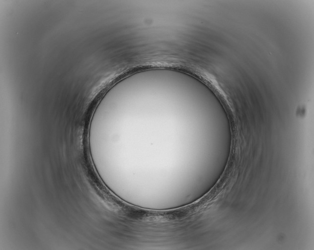 X0000090780299200707201140