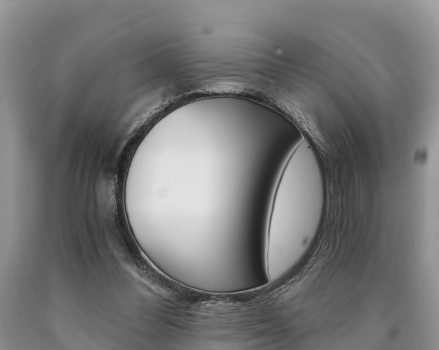X0000090780300200707201140