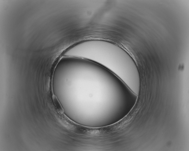 X0000090780301200707201140