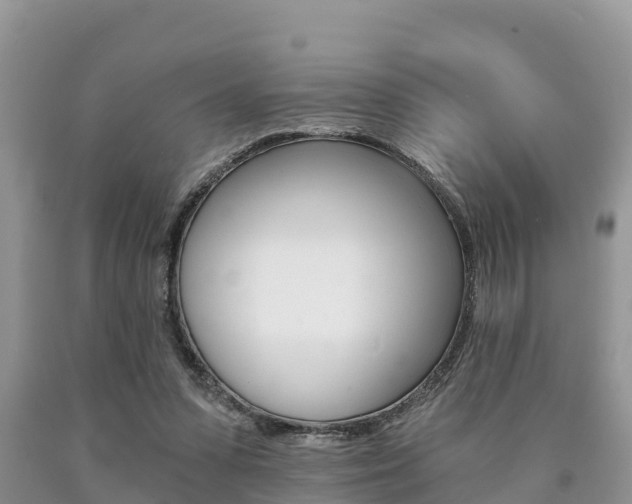 X0000090780303200707201140