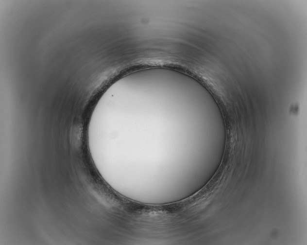 X0000090780304200707201140