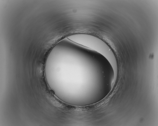 X0000090780305200707201140